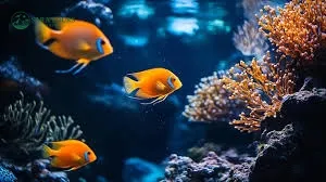 Grand Aquarium